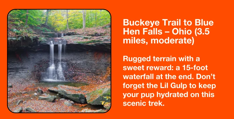 Buckeye Trail to Blue Hen Falls – Ohio (3.5 miles, moderate)