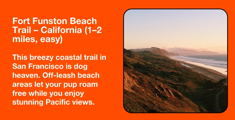 Fort Funston Beach Trail – California (1–2 miles, easy)