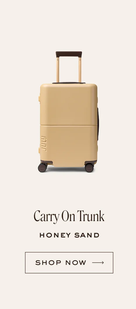 Carry On Trunk