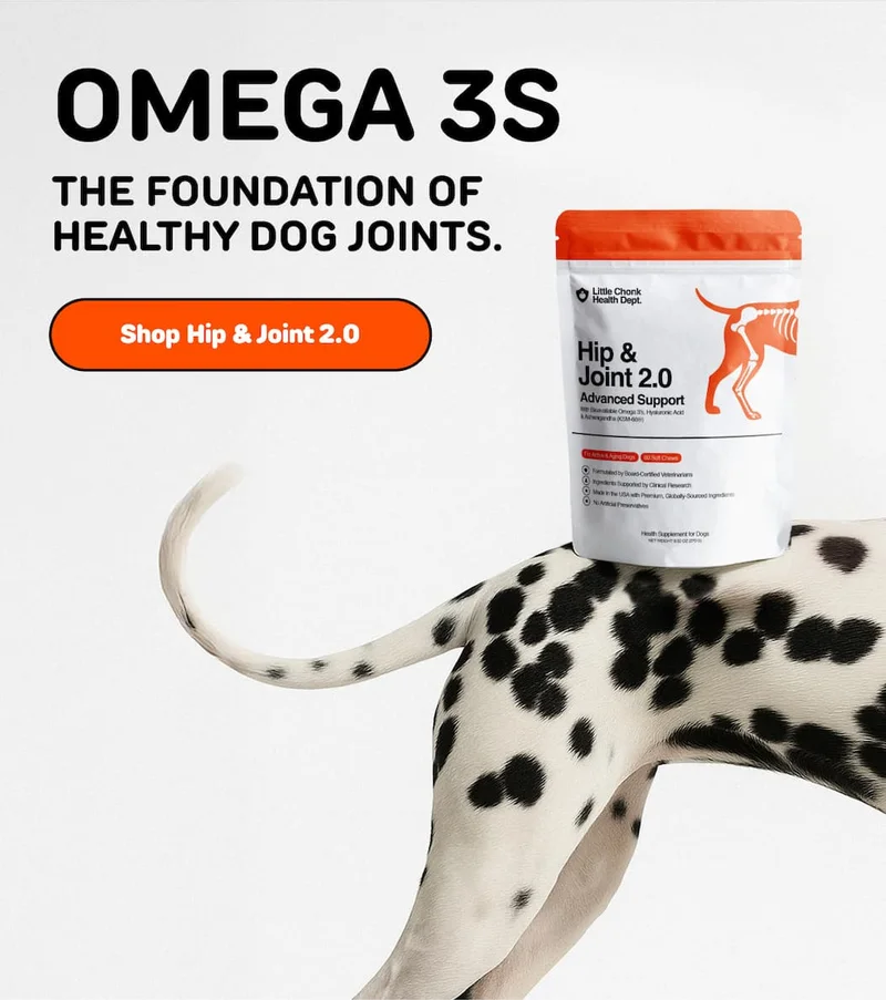 OMEGA 3s THE FOUNDATION OF HEALTHY DOG JOINTS.