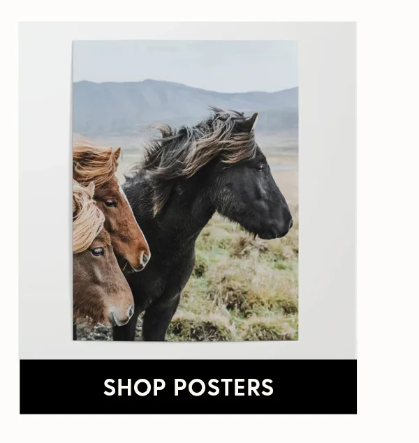 Shop Posters