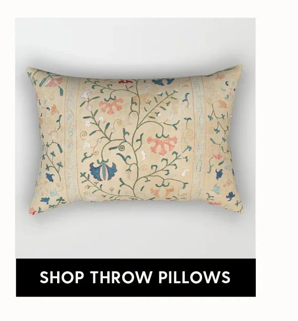 Shop Throw Pillows