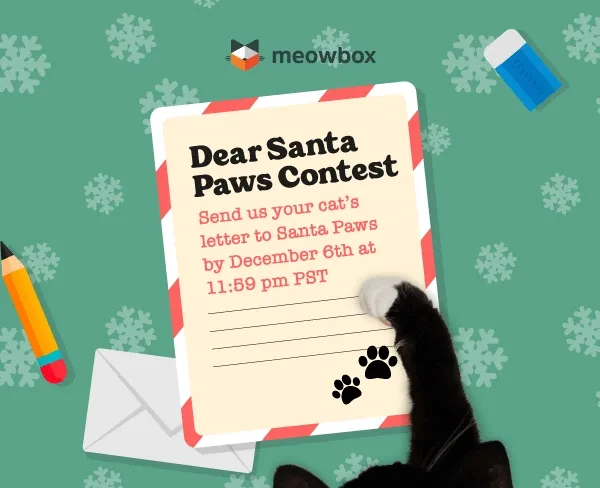 Dear Santa Paws Contest: Send us your cat's letter to Santa Paws by December 6th at 11:59pm PST. Image of a black and white cat with a santa hat, Olivia (co-founder of meowbox) with a santa hat, and a stack of meowboxes poking out of the Santa Paw letter
