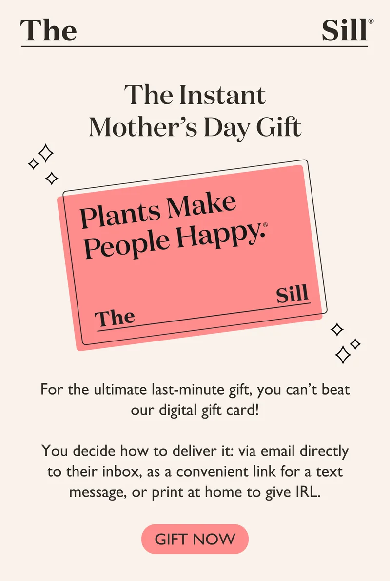 For the ultimate last-minute gift, you can't beat our digital gift card! You decide how to deliver it: via email directly to their inbox, as a convenient link for a text message, or print at home to give IRL.
