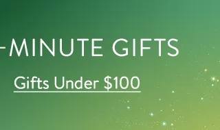 Gifts Under $100