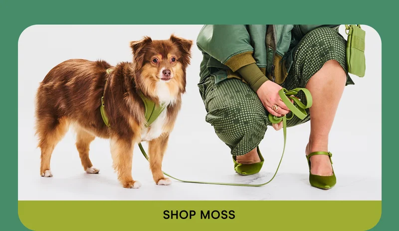Shop Moss