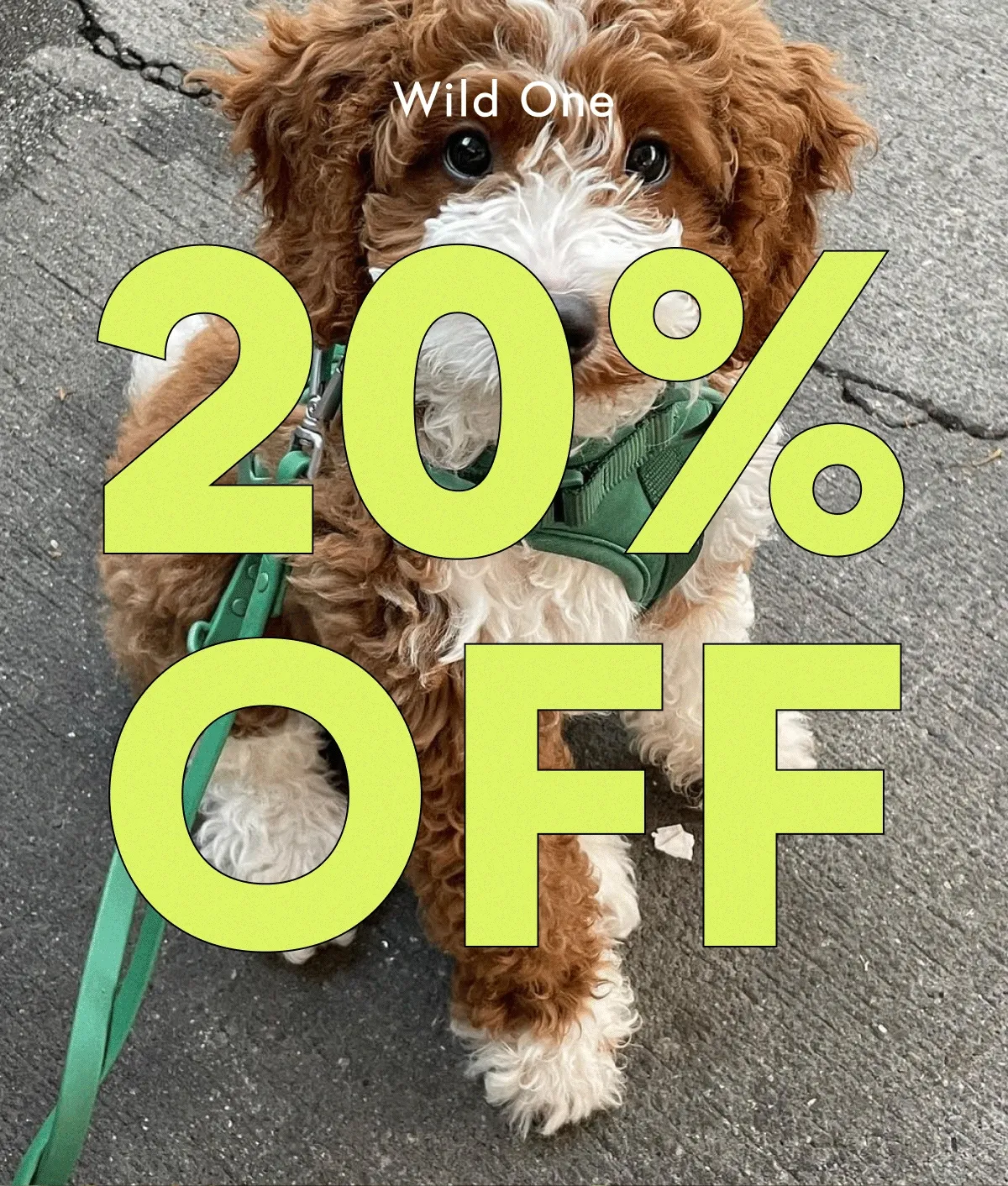 20% OFF