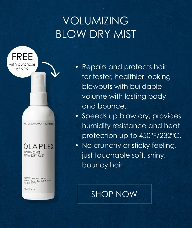 Volumizing Blow Dry Mist | Shop Now