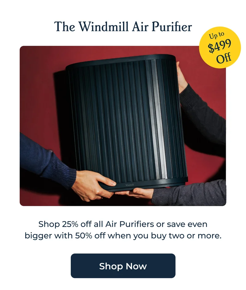 The Windmill Air Purifier