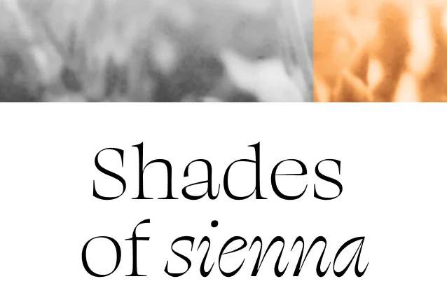 Shades of Sienna