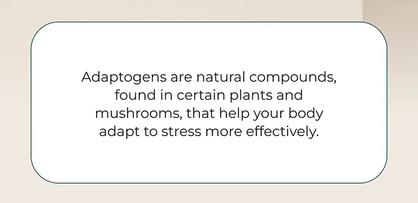 Adaptogens are natural compounds, found in certain plants and mushrooms, that help your body adapt to stress more effectively.