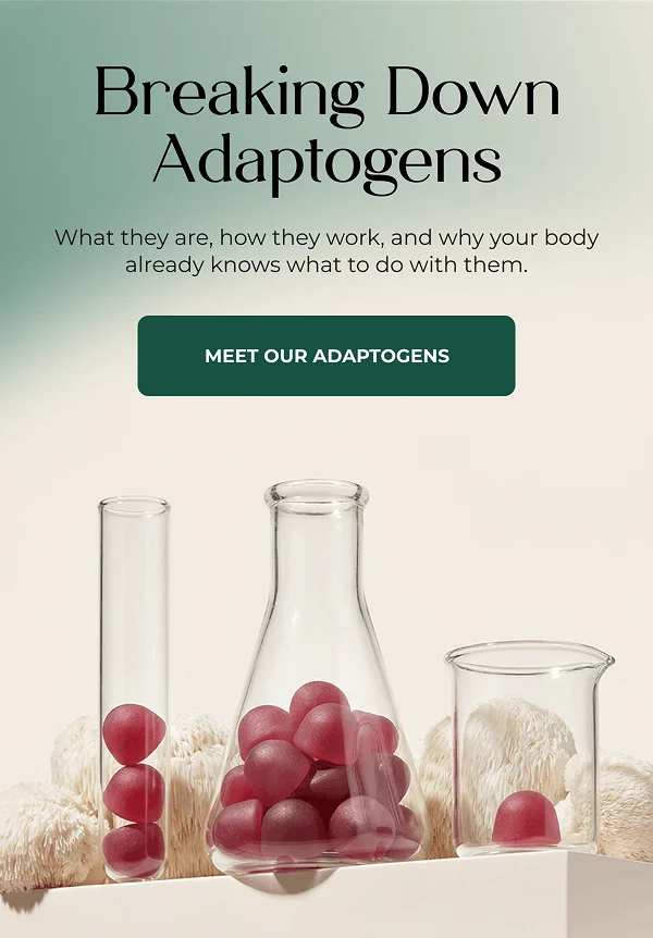 BREAKING DOWN ADAPTOGENS  [MEET OUR ADAPTOGENS]