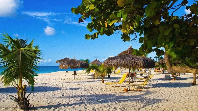 Image description: Caribbean beach with chairs and umbrellas facing the ocean