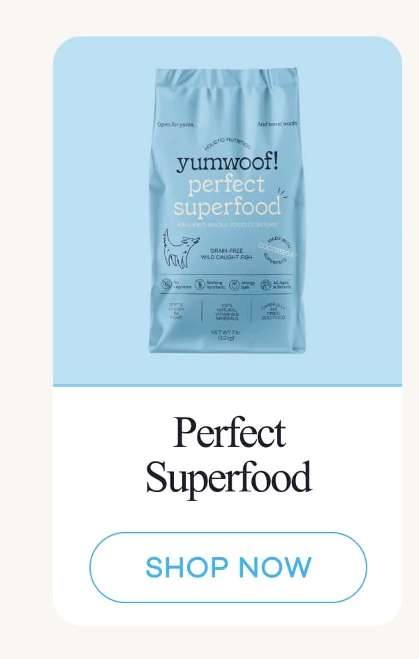 Perfect Superfood | shop now