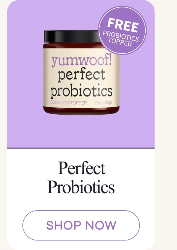 Perfect Probiotics | shop now
