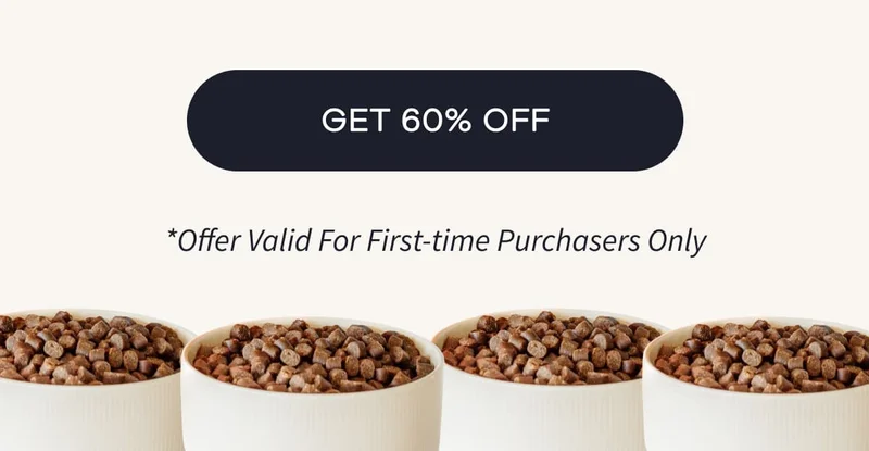 GET 60% OFF | *Offer Valid For First-time Purchasers Only
