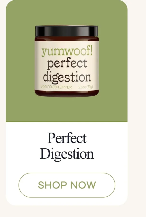 Perfect Digestion | shop now