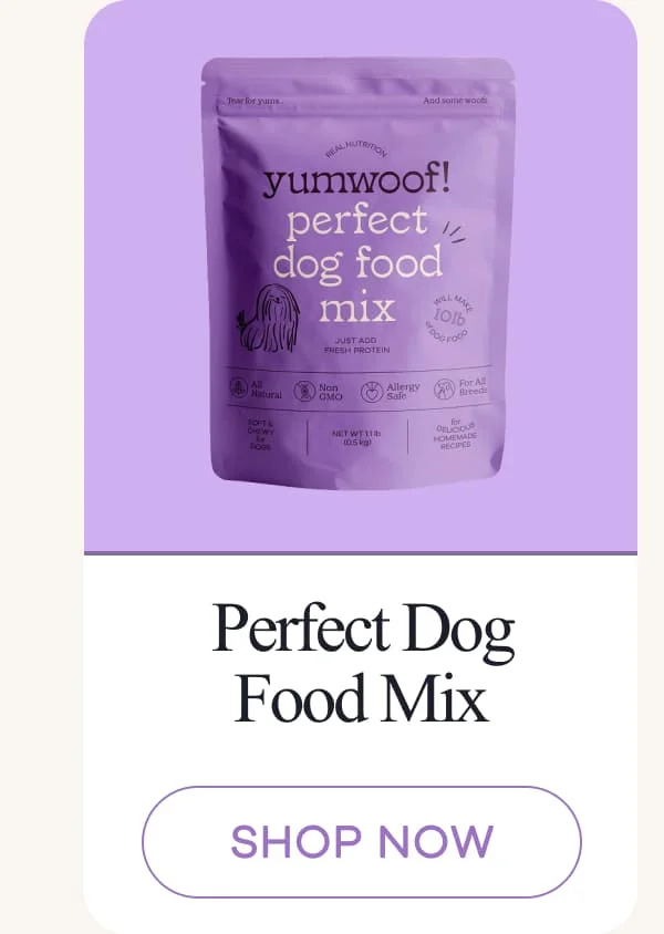 Perfect Dog Food Mix | shop now