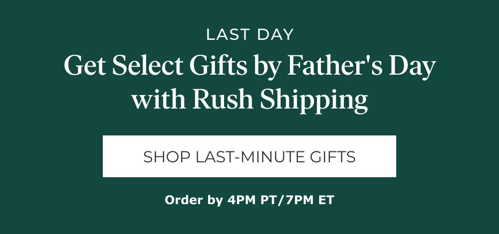 4 Freebies + Up to 50% Off