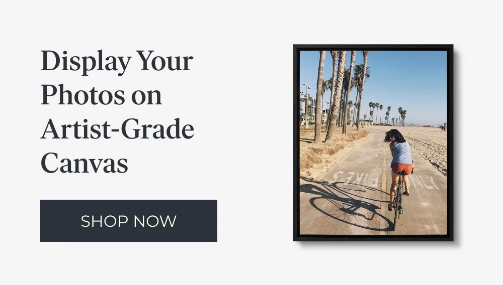 4 Freebies + Up to 50% Off