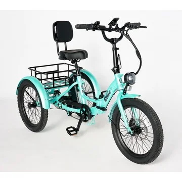 ollie Leo Electric Trike with 500W Motor & discount code Speed w/ Accessories