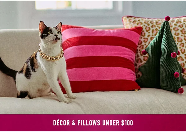 decor & pillows under $100