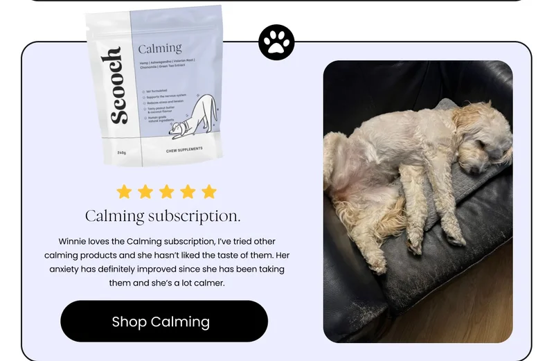 Calming Subscription