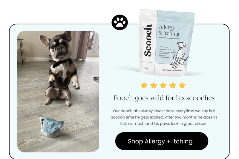 Allergy and Itching