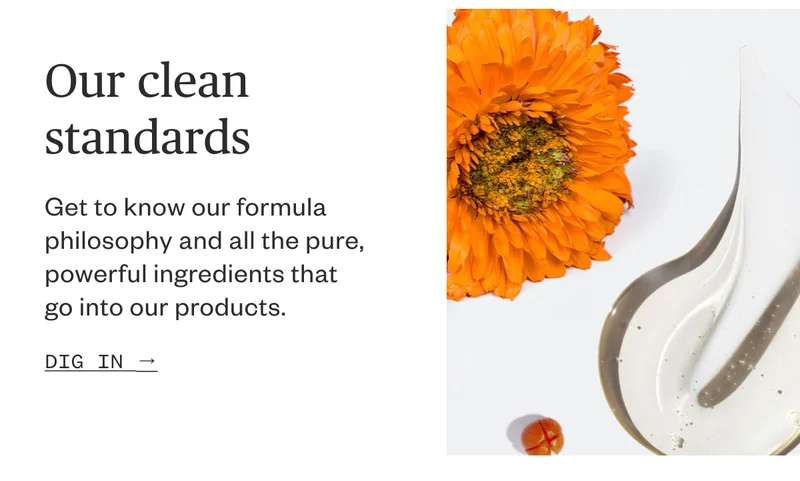Our clean standards