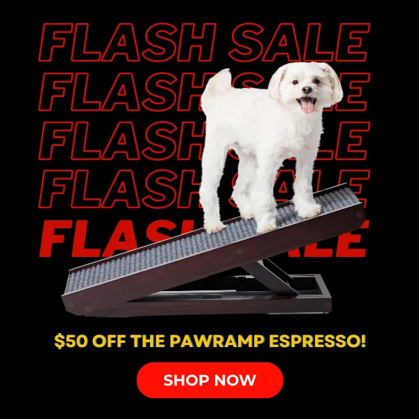 PawRamp Espresso