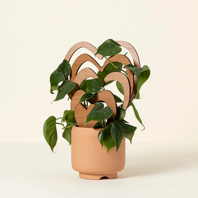Trellove Heart Trellis Set