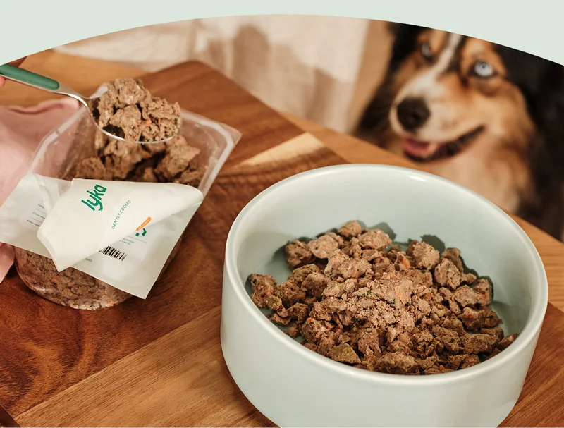 Digestive health starts in the bowl.