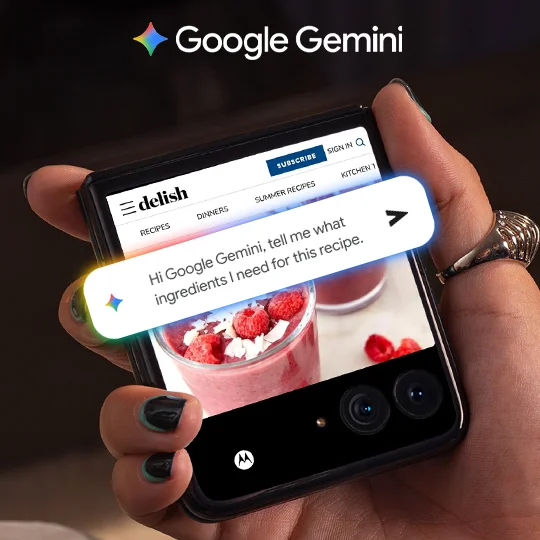Google Gemini