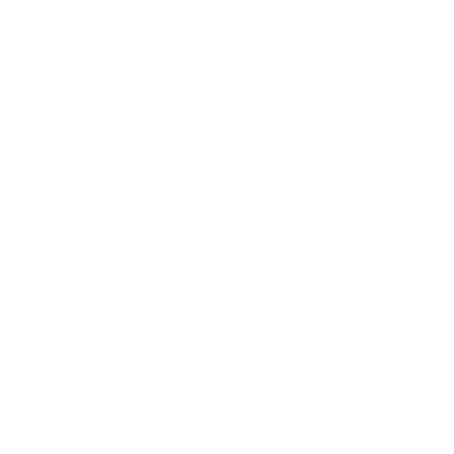 Quad Camera