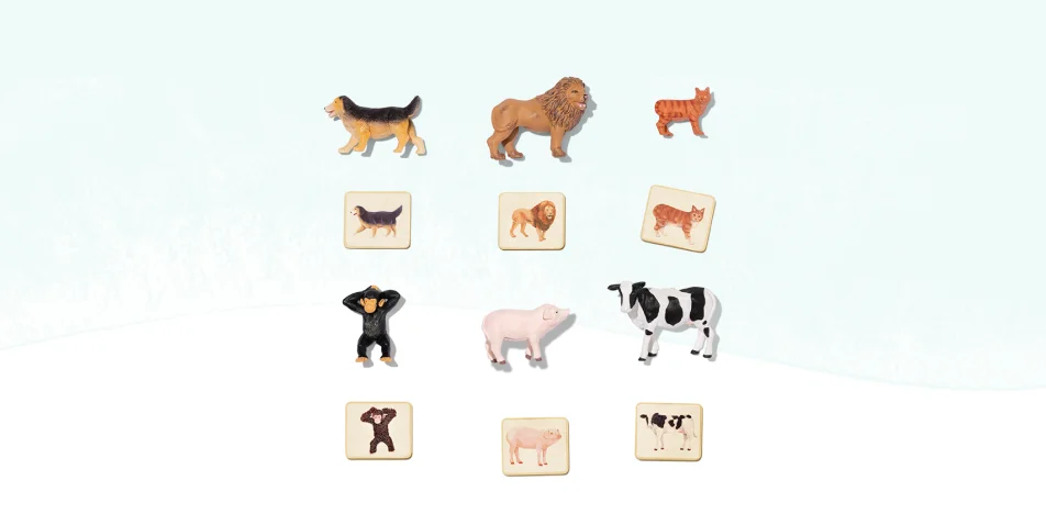 Montessori Animal Match