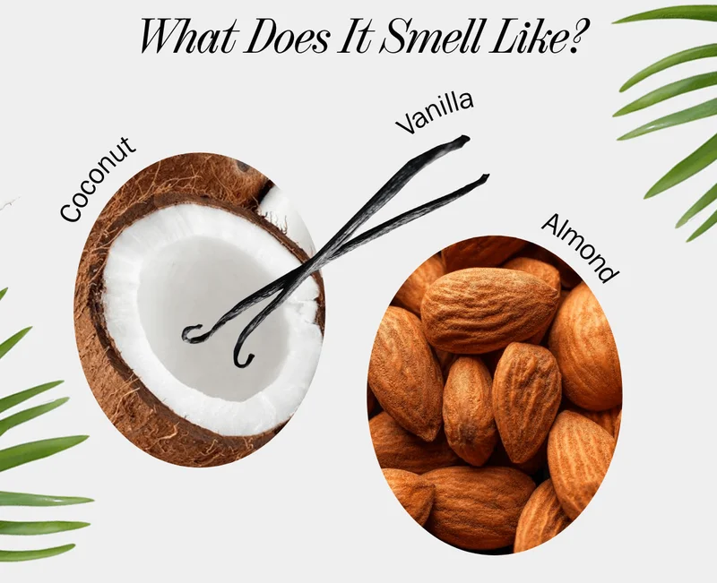 Scent Notes