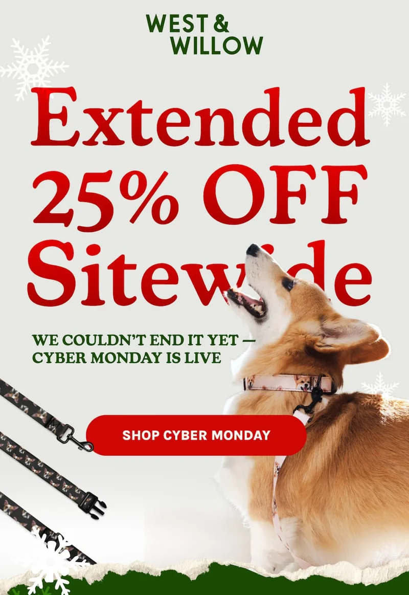 SALE EXTENDED