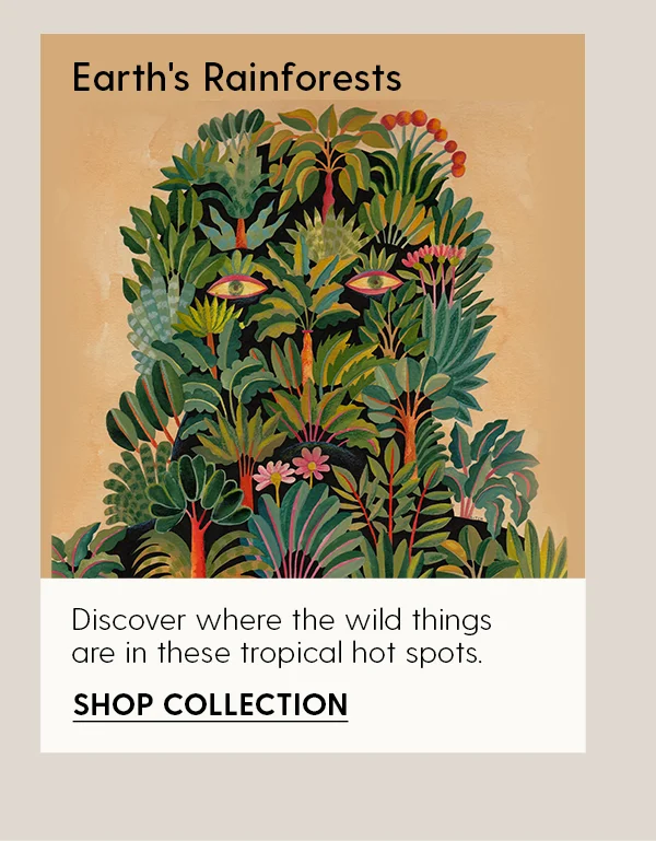 Earth's Rainforest | Discover where the wild things are in these tropical hot spots. | Shop Collection
