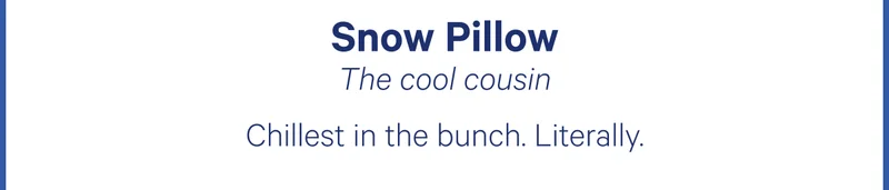 Snow Pillow; The cool cousin; Chillest in the bunch. Literally.