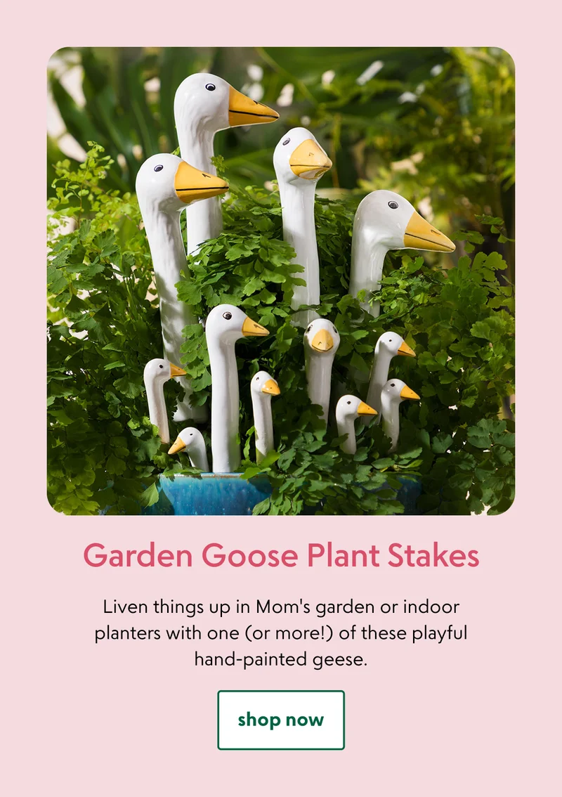 garden-goose-plant-stakes