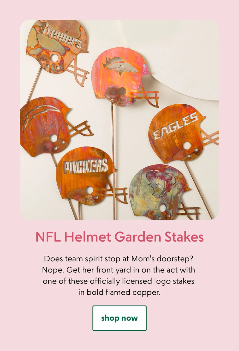 nfl-helmet-garden-stakes