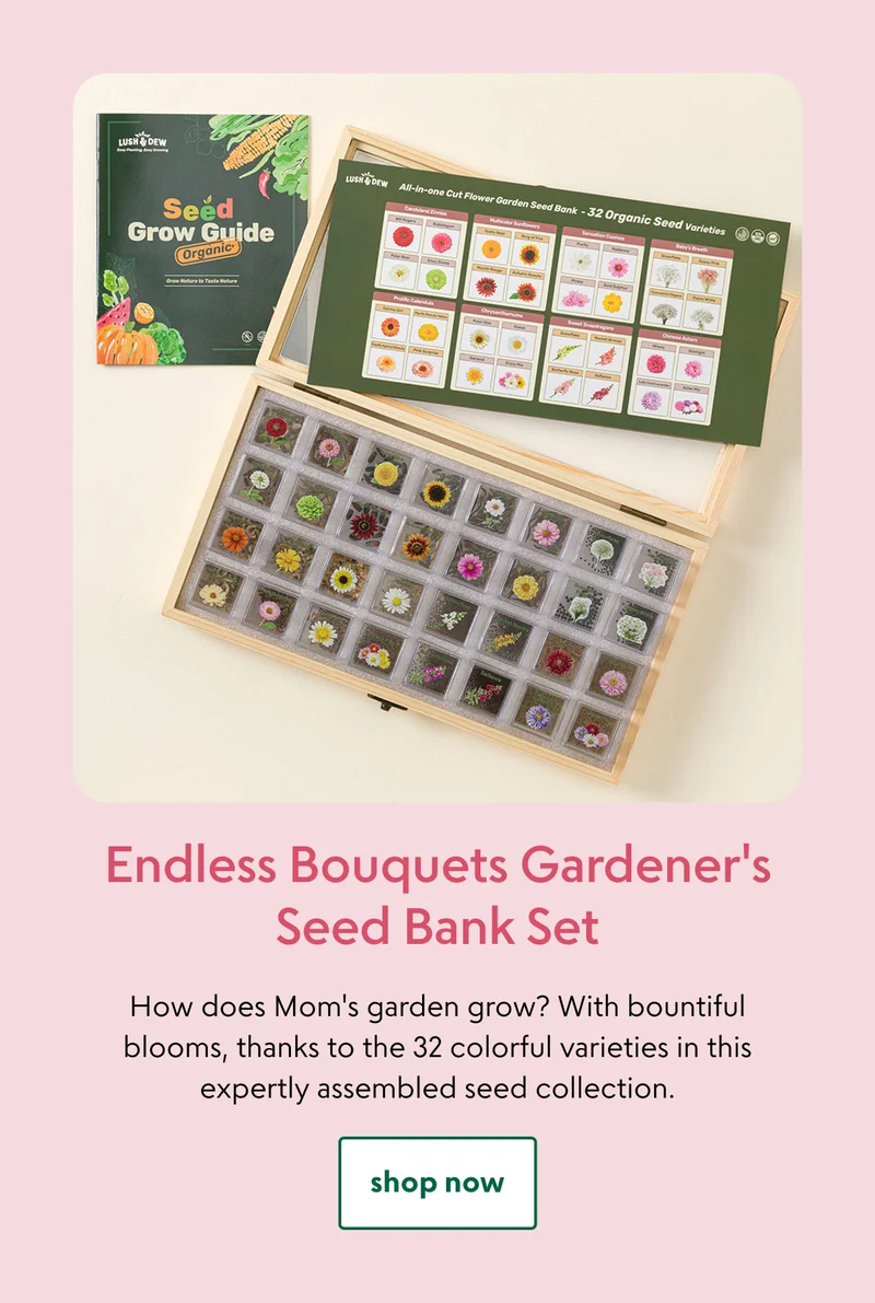 endless-bouquets-gardeners-seed-bank-set