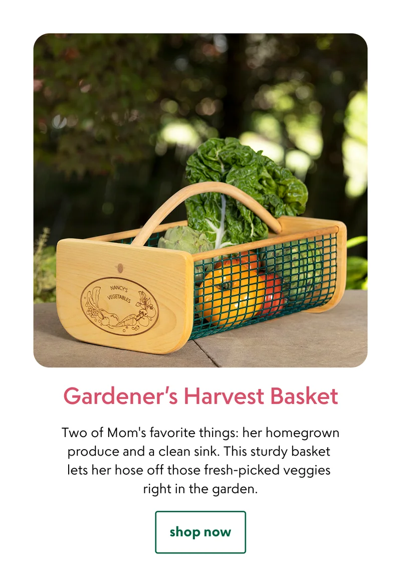 gardeners-harvest-basket