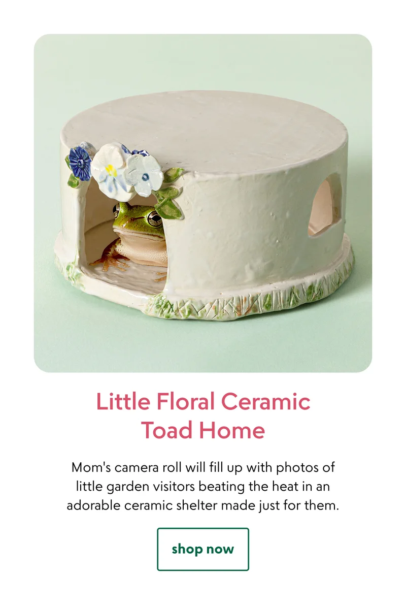 little-floral-ceramic-toad-home