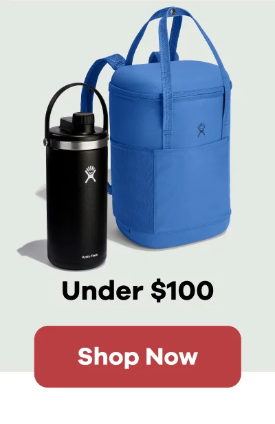 Under $100 | Shop Now