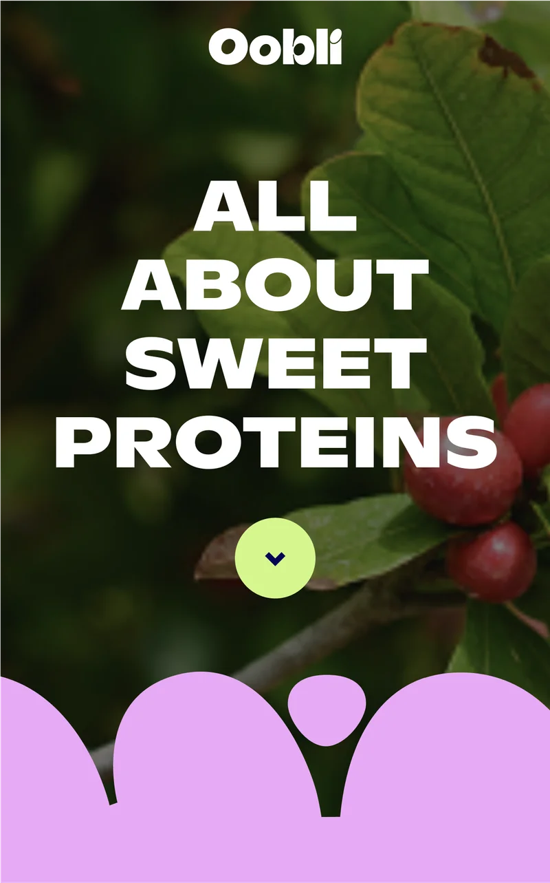 All about sweet proteins