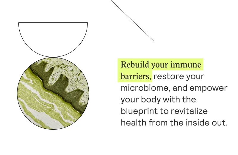 Rebuild your immune barriers, restore your microbiome, and empower your body with the blueprint to revitalize health from the inside out.