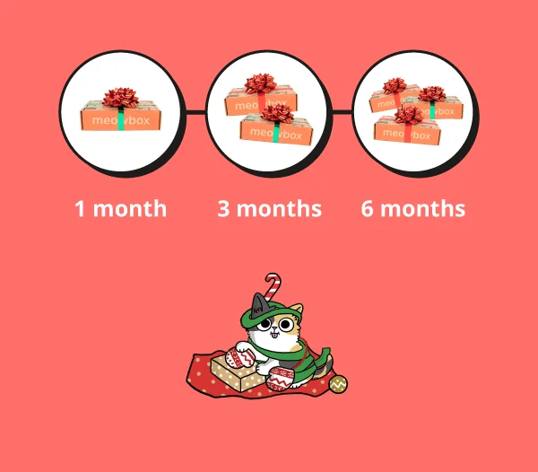 Image of 1 month, 3 month and 6 months meowbox subscriptions
