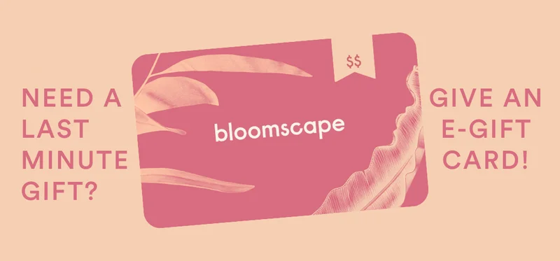 shop egift cards