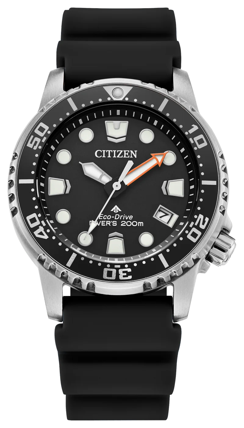 Image of Promaster Dive